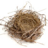 empty nest